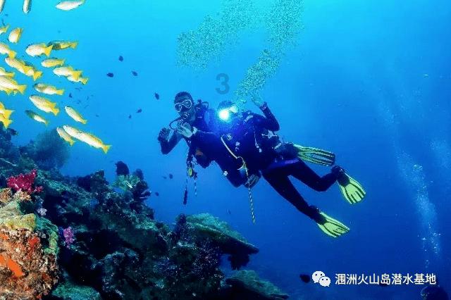 掘地挖宝